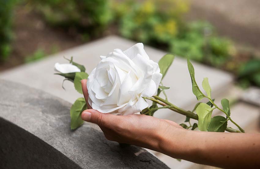 Seguros CLM_ Decesos