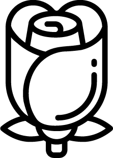 Recurso 73x
